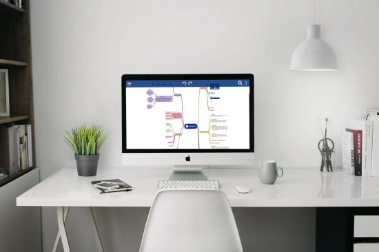 miMind Pro miMind Pro