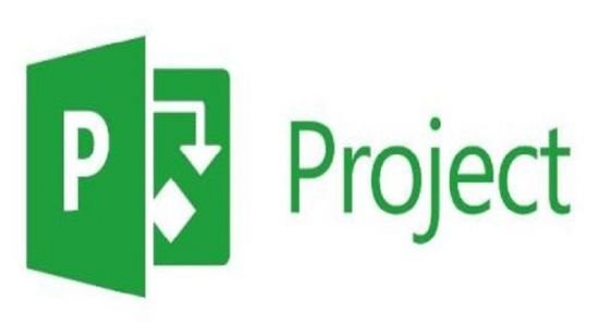 MS Project Professional Beginner to Expert MS Project Professional Beginner to Expert