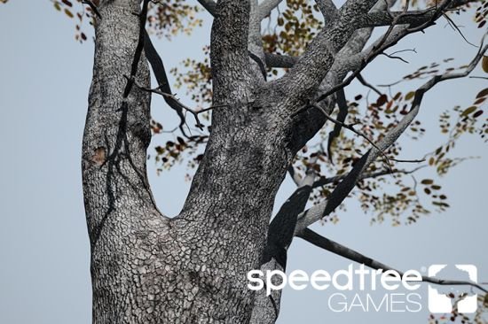 SpeedTree Games SpeedTree Games