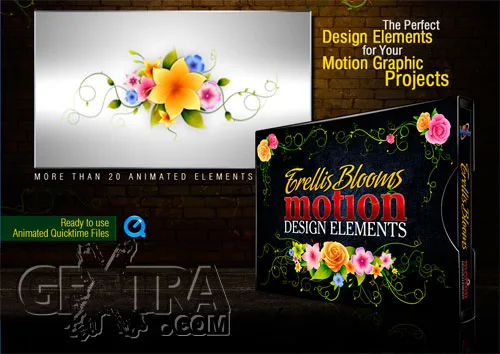 Digital Juice - Motion Design Elements: Trellis Blooms AE Digital Juice - Motion Design Elements: Trellis Blooms AE