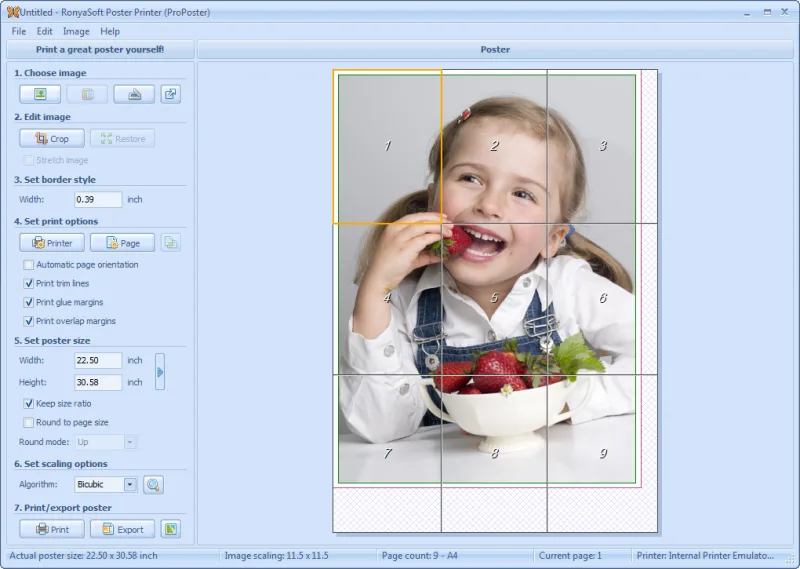 RonyaSoft Poster Printer 3.2.7 RonyaSoft Poster Printer 3.2.7