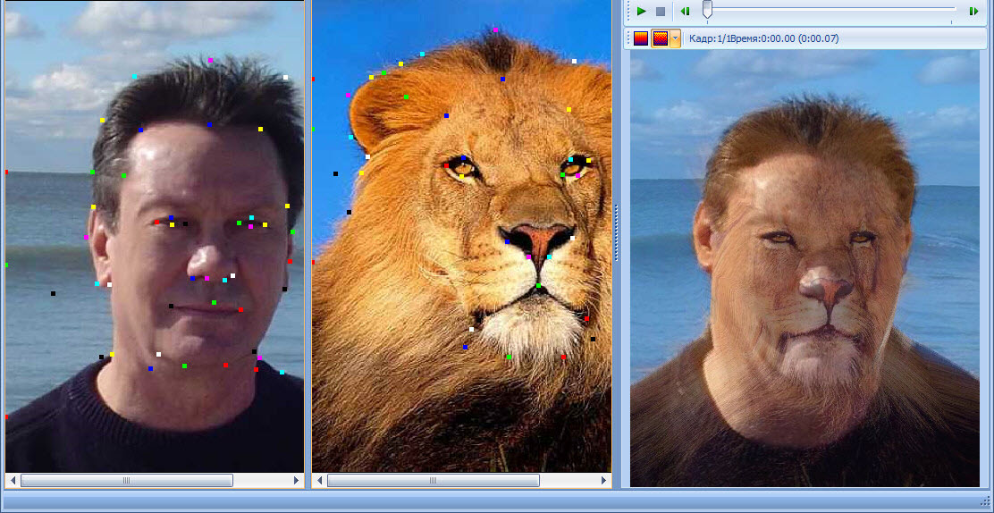 Morpheus Photo Animation Suite v3.17 Build 4188.0 Industrial Morpheus Photo Animation Suite v3.17 Build 4188.0 Industrial