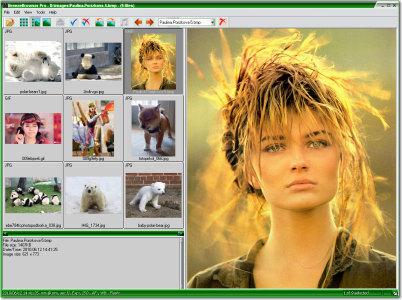 BreezeBrowser Pro 1.12 BreezeBrowser Pro 1.12