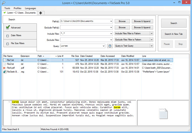 FileSeek Pro 6.4 Multilingual