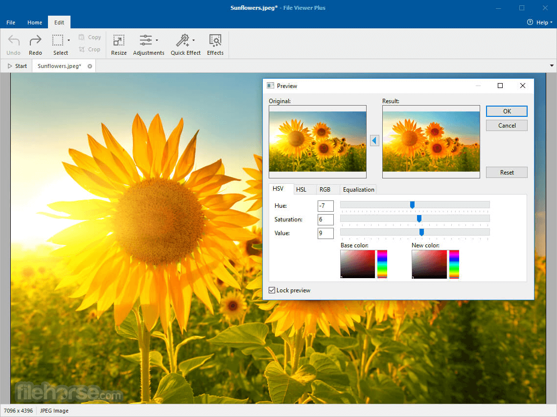File Viewer Plus 2