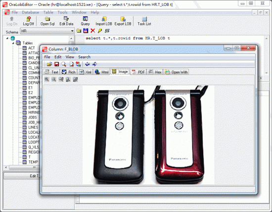 Withdata OraLobEditor 4.6 Release 1 Build 200630 Withdata OraLobEditor 4.6 Release 1 Build 200630