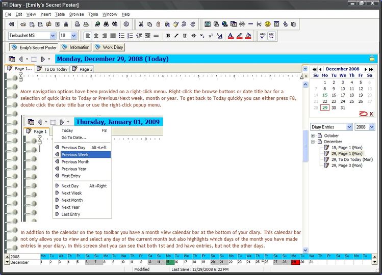 iDailyDiary Professional 4.11 iDailyDiary Professional 4.11