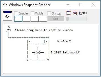 Windows Snapshot Grabber 2020.12.715.2774 Windows Snapshot Grabber 2020.12.715.2774