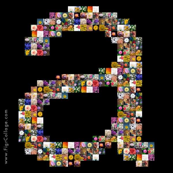 FigrCollage FigrCollage